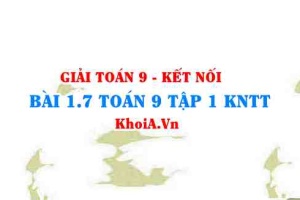 Bài 1.7 SGK Toán 9 tập 1 Kết nối tri thức